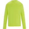 Neongrünes Langarmshirt, Rückansicht, Rundhalsausschnitt, uni, auf weißem Hintergrund