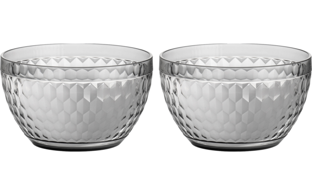 Brunner set of 2 bowls Coralux