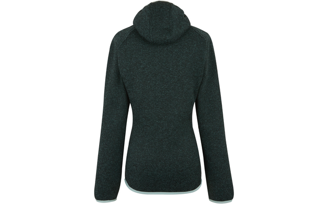 Dunkelgrüner Damenpullover mit Kapuze, Rückansicht
