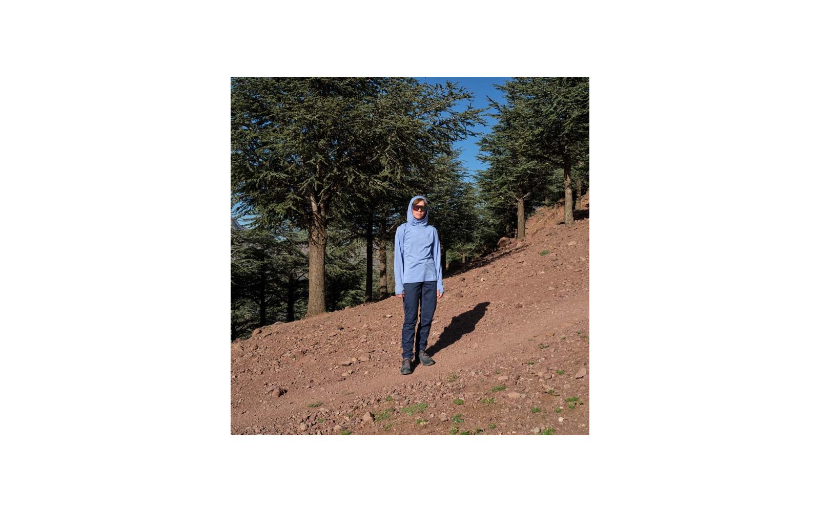 Person mit hellblauer Kapuzenjacke und Sonnenbrille steht auf einem schrägen, erdigen Hang vor hohen Nadelbäumen