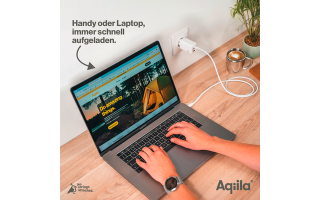 Person tippt auf einem Laptop auf einem Tisch, daneben ein Smartphone und eine Pflanze