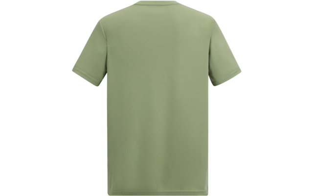 Rückansicht eines hellgrünen, kurzärmligen T-Shirts mit Rundhalsausschnitt