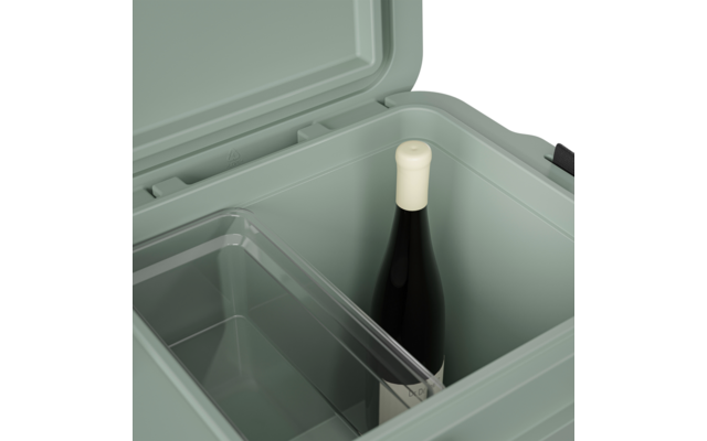 Geöffneter, grüner Kühler mit einer stehenden Flasche Wein und einem herausnehmbaren Fach innen