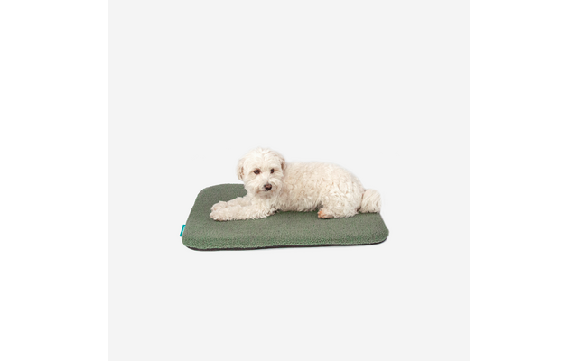 Kleiner weißer fluffiger Hund liegt auf einer grünen rechteckigen Matte vor weißem Hintergrund
