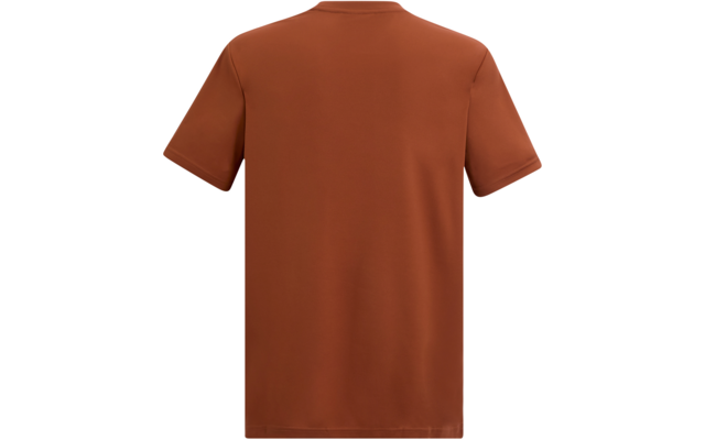 Rückansicht eines einfarbigen, kurzärmligen T-Shirts mit Rundhalsausschnitt in rostbrauner Farbe auf weißem Hintergrund