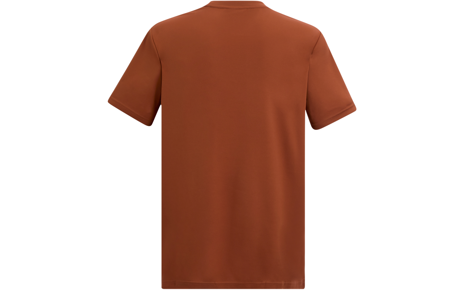 Rückansicht eines einfarbigen, kurzärmligen T-Shirts mit Rundhalsausschnitt in rostbrauner Farbe auf weißem Hintergrund