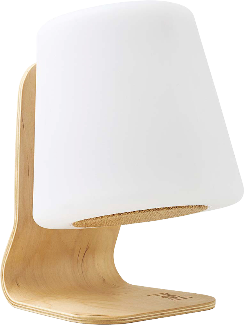Tafellamp LED met Speaker Bluetooth Oplaadbaar Afstandsbediening - Funnylights Pinsir