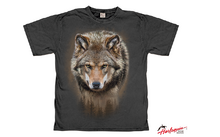Harlequin Loup solitaire T-shirt