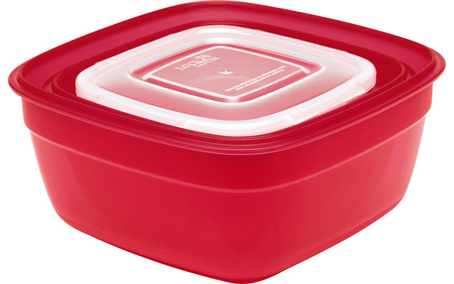 Lock &amp; Lock Sealed Containers Set of 3