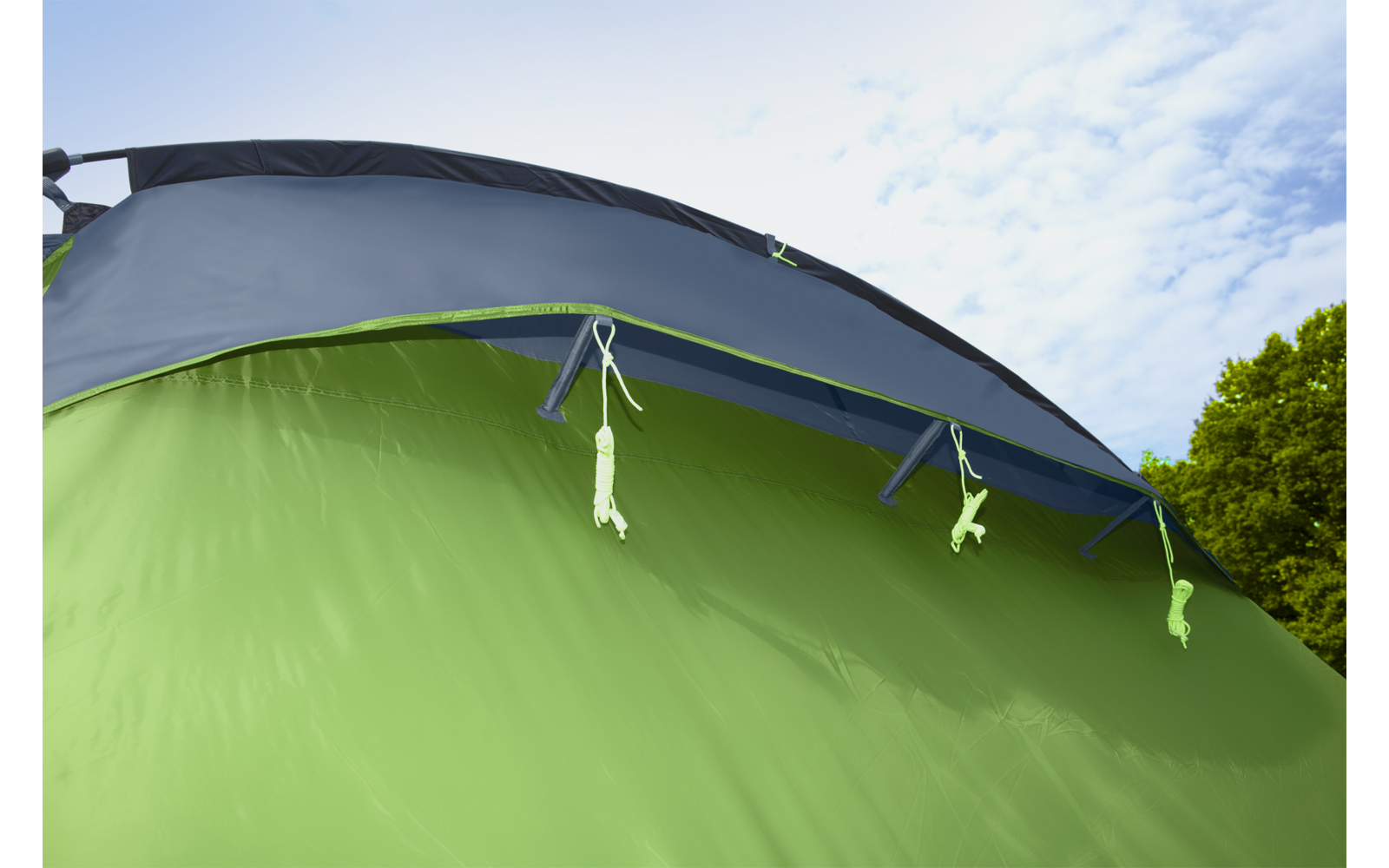 Grünes Zelt vor blauem Himmel und Baum