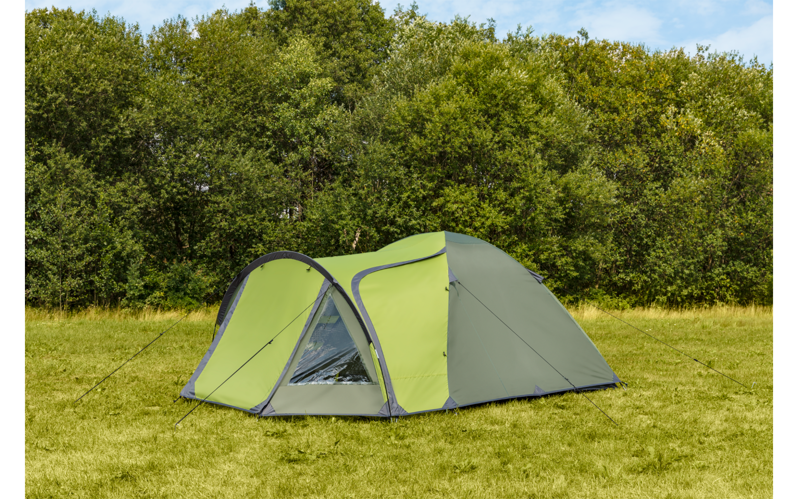 Grünes Zelt auf einer Wiese vor Bäumen