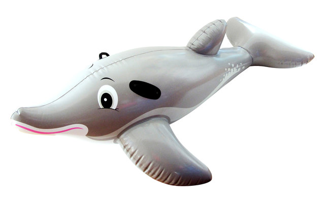 Reittier Delfin