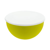 Lid Palsby