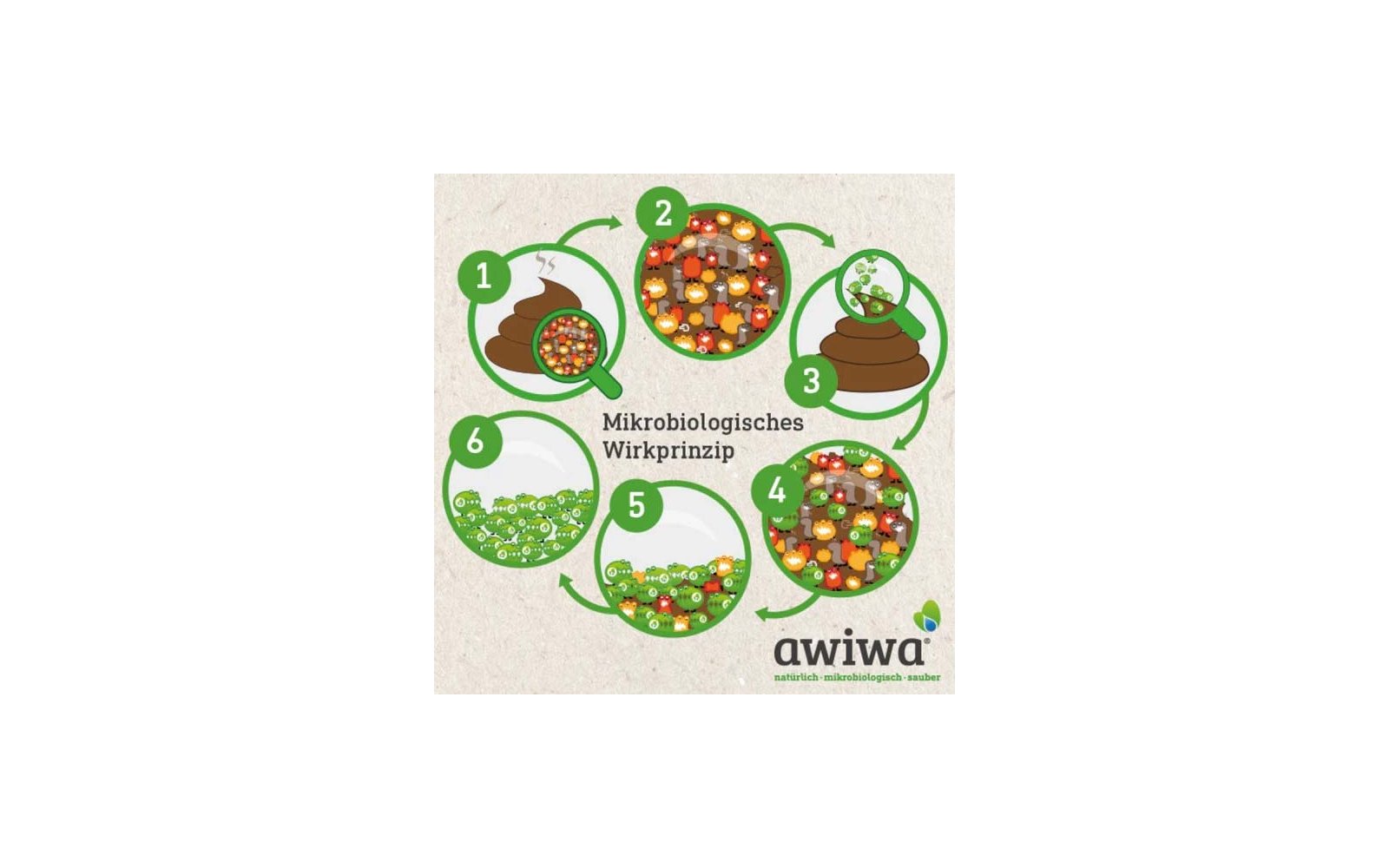 Eine junge Frau sitzt an einem Holztisch und liest ein Buch