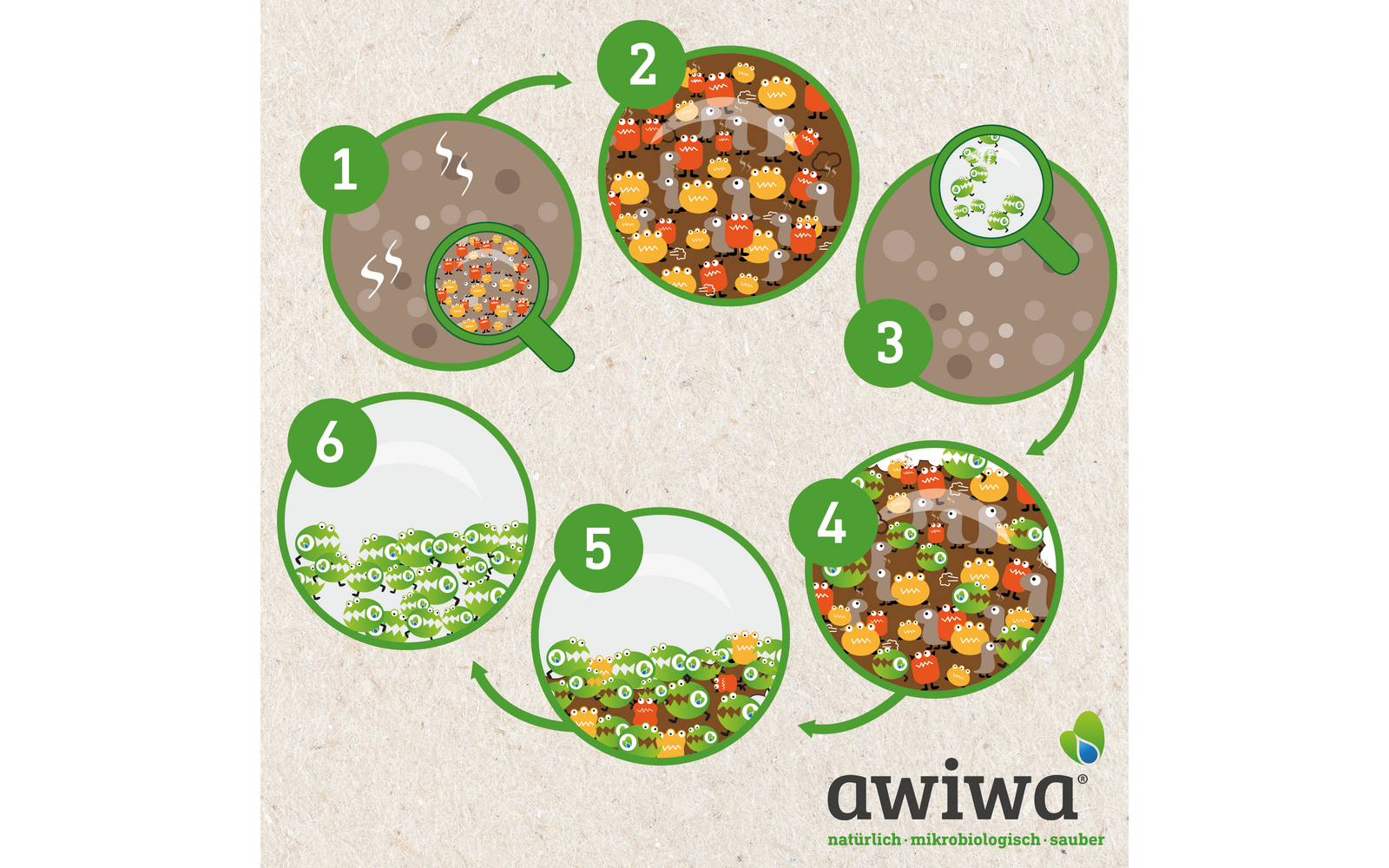 Six bowls with different foods, numbered 1 to 6, on a light background