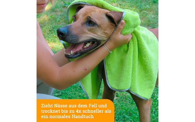 Hund wird mit einem grünen Handtuch abgetrocknet
