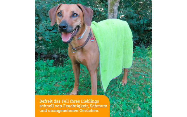 Hund mit grünem Handtuch auf dem Rücken steht im Freien vor grünen Büschen