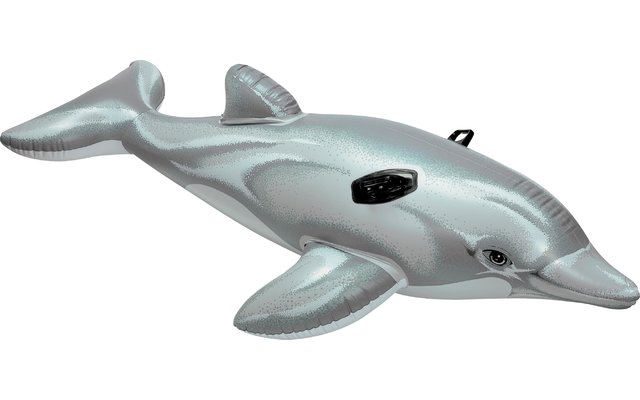 Delfin Reittier