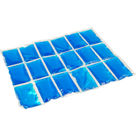 Campingaz Flexi Freezpack K&uuml;hlelement M