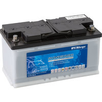 Berger solar accu nat 12 V / 110 Ah