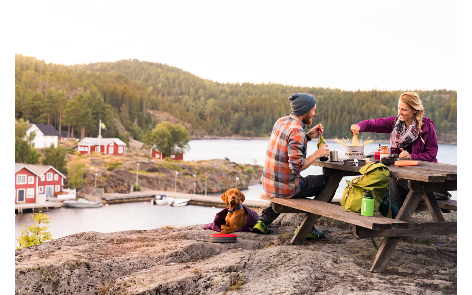 Een gele bloem met groene bladeren voor een wazige achtergrond