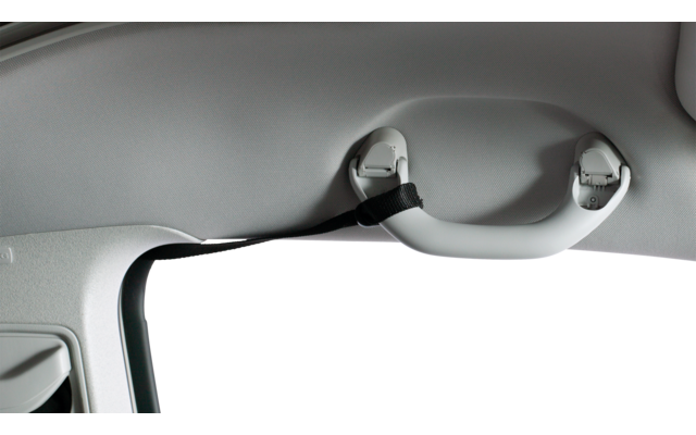 Innenseite eines Fahrzeugs mit Haltegriff am Dachhimmel über der Tür