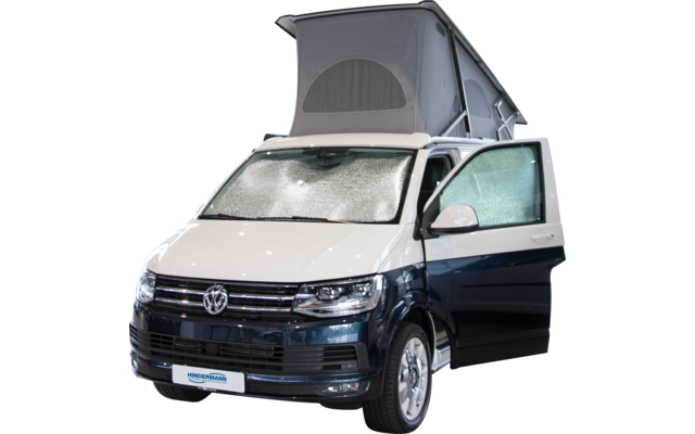 Blue van with open driver's door and ice on the windshield