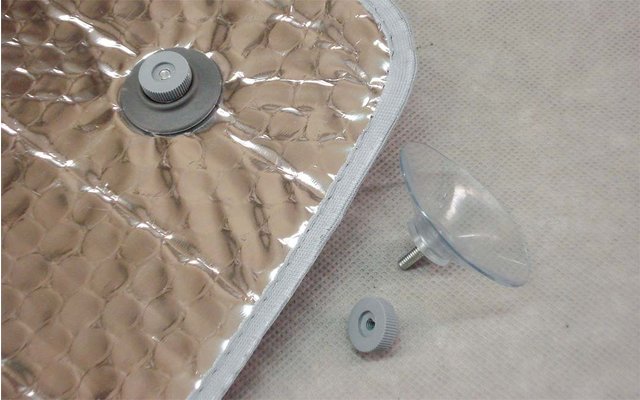 Close-up of a sandy surface with a partially buried shell and a few small shells next to it