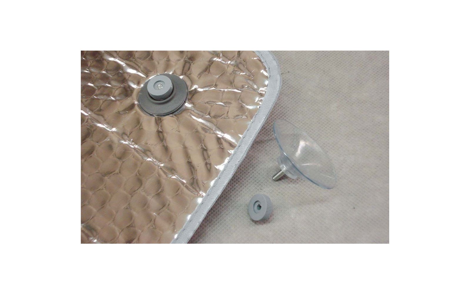 Close-up of a sandy surface with a partially buried shell and a few small shells next to it