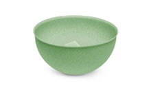 Grüne Schale aus Kunststoff vor weißem Hintergrund