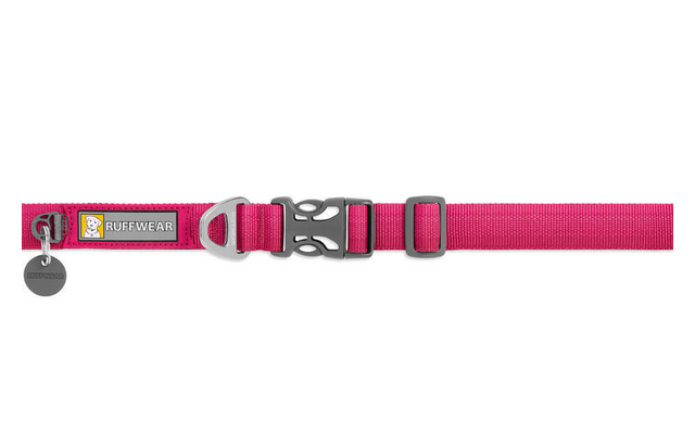 Collar para perro rosa con hebilla negra y placa de metal