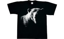 Harlequin Bear Shadow T-Shirt