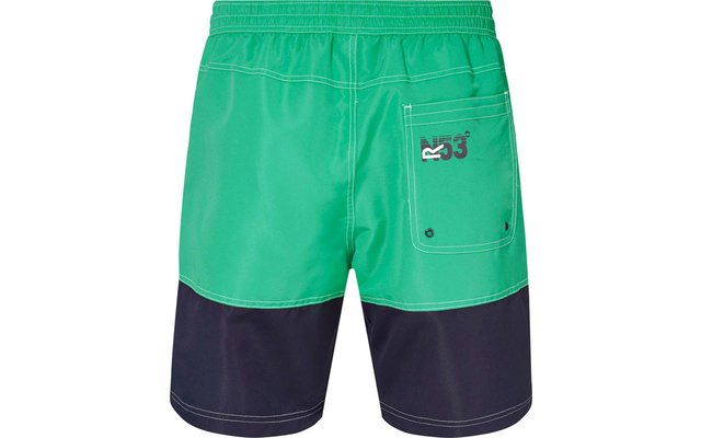 Regatta men's shorts Brachtmar III