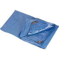 Berger All Purpose Tarpaulin 2x2 m