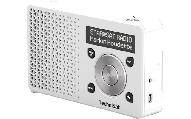 TechniSat DAB+ Digitradio 1 Tragbares Digitalradio mit integriertem Akku