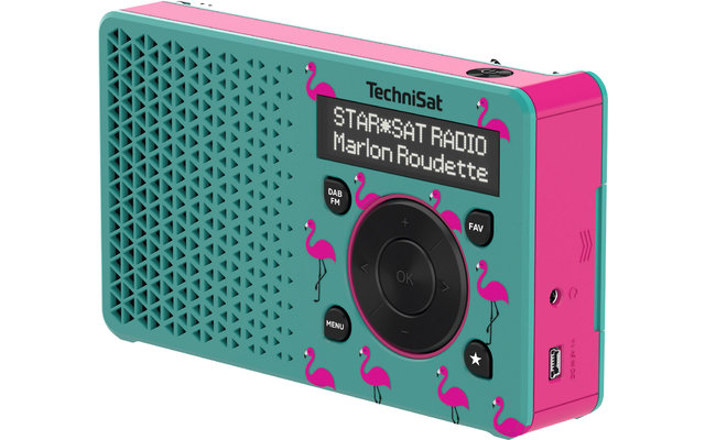 TechniSat DAB+ Digitradio 1 Radio numérique portable avec batterie rechargeable intégrée