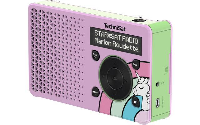 TechniSat DAB+ Digitradio 1 Radio numérique portable avec batterie rechargeable intégrée