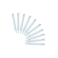 Berger Tent Pegs 10 Pack 22cm Steel