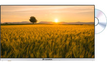 Caratec Vision CAV240X-DB TV gran angular de 24" con DVB-T2 HD, DVB-S2 y reproductor de DVD y Bluetooth
