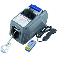 Cabrestante eléctrico para coche con mando a distancia 12 V