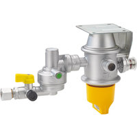 GOK Caramatic DriveTwo Sicherheits-Gasdruckregler Horizontal 50 mbar