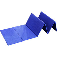 Basic Nature Foldable Mat blue