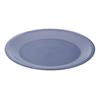 Rotho Caruba plate flat 26 cm horizon blue