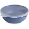 Rotho Bowl with lid Tresa 1.02 liters blue