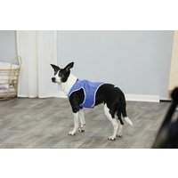 TRIXIE Kühlweste S 25 cm blau 