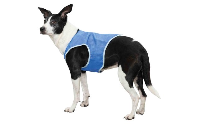 Jollypaw Cooling Vest XS 20 cm blue