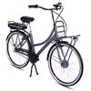 LLobe Rosendaal 2 Lady vélo électrique de ville 15,6 Ah gris