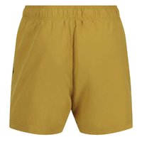 Regatta Mawson III Short pour hommes