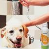 Awiwa Pet Shampoo mikrobiologisches Fellpflege Shampoo 250 ml