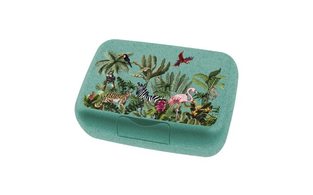 Koziol Candy L Box Lunchbox / Brotdose mit Trennschale Jungle organic turquoise
